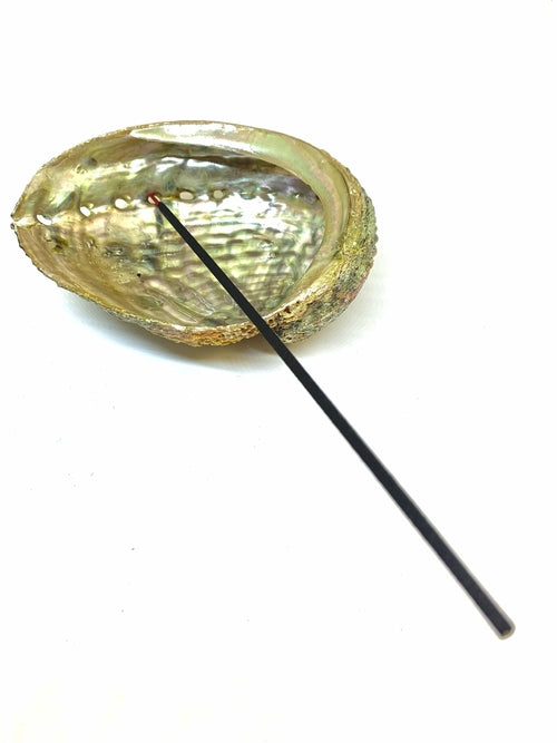 Muschel Räucherstäbchen-Halter