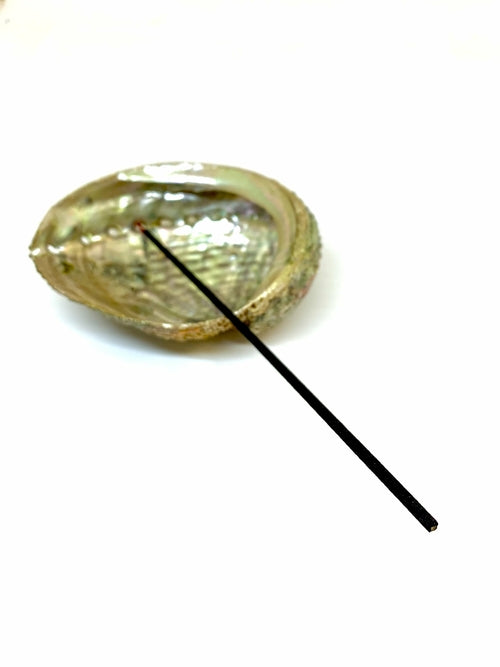 Muschel Räucherstäbchen-Halter